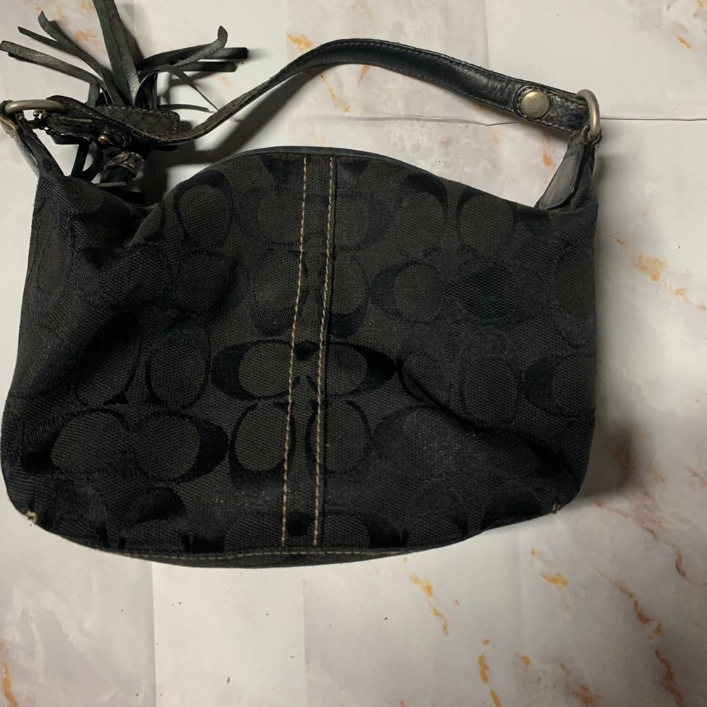 Small coach purse